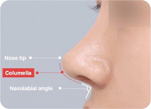 NaturGlow columella line diagram