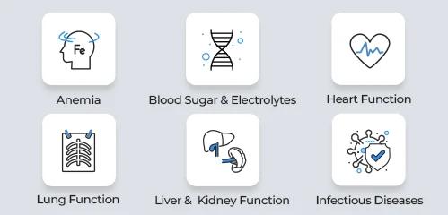 Preoperative screening items: anemia, blood sugar, heart, lung, liver and kidney function, infectious diseases