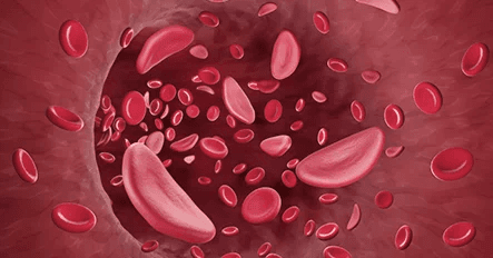 Blood-derived Stem Cell Injection