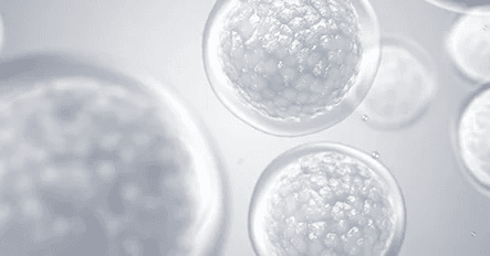 Bone Marrow Stem Cell Injection