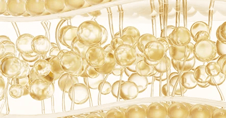 Stem Cell Fat Grafting