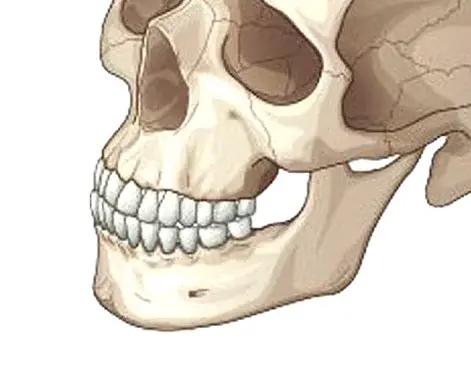 STEP 1. Customized Surgical Planning