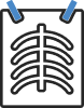 Lung Function