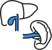 Liver & Kidney