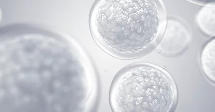 Bone Marrow Stem Cell Injection