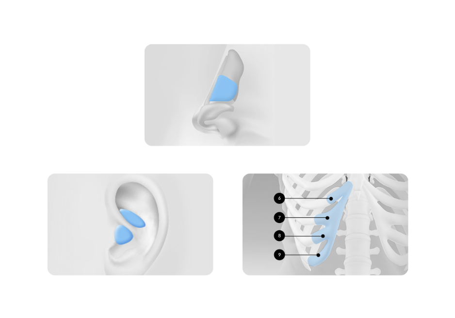 Autologous Cartilage Rhinoplasty in Korea